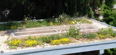 Grün Plus Straelen