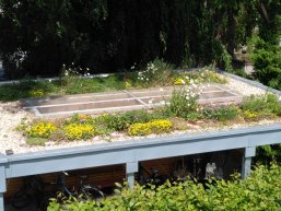 Grün Plus Straelen