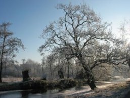 Die Niers umgeben von einer Winterlandschaft
