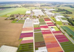 Luftbild aus der Gartenbau- und Agrobusinessregion Straelen