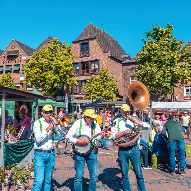 Frühlingsblumenmarkt