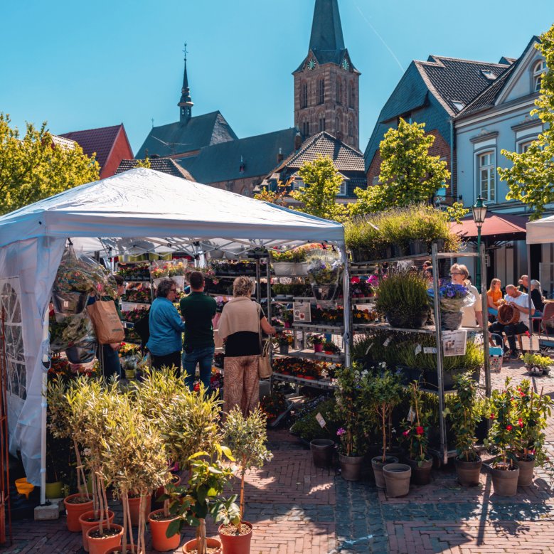 Frühlingsblumenmarkt