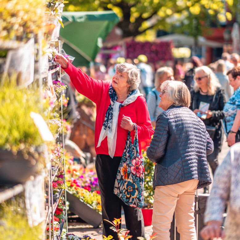 Frühlingsblumenmarkt