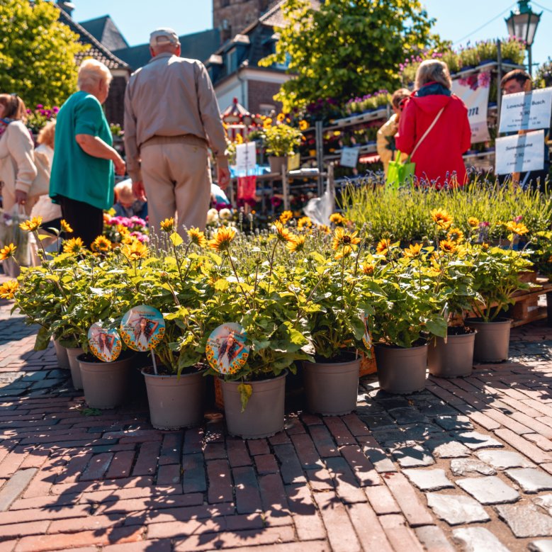 Frühlingsblumenmarkt