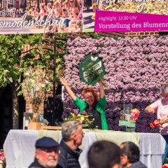 Frühlingsblumenmarkt