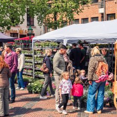 Frühlingsblumenmarkt