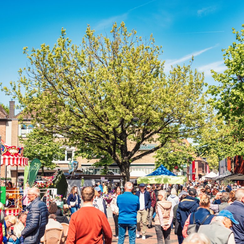 Frühlingsblumenmarkt