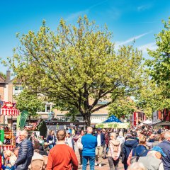 Frühlingsblumenmarkt