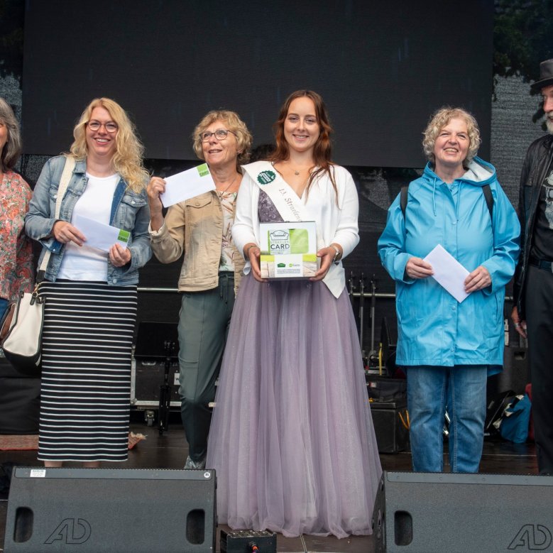 Stadtfest