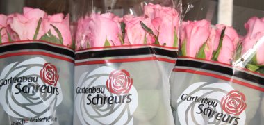 Gartenbaubetrieb Rosen Schreurs