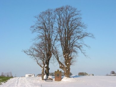 Schweinekapellchen im Schnee