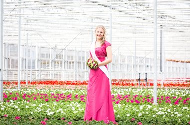 Blumenmädchen Stefanie Berghs-Trienekens Blumenmädchen Stefanie Berghs-Trienekens