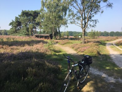 GreenCity RadTour