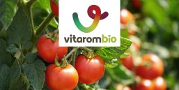 GreenCity Tour Event - Stationen - 11 Logo Vitarom