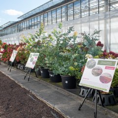 GreenCity Tour Event