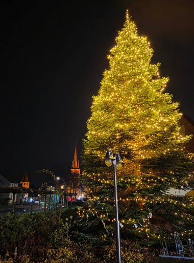 Weihnachtsbaum Herongen 2025