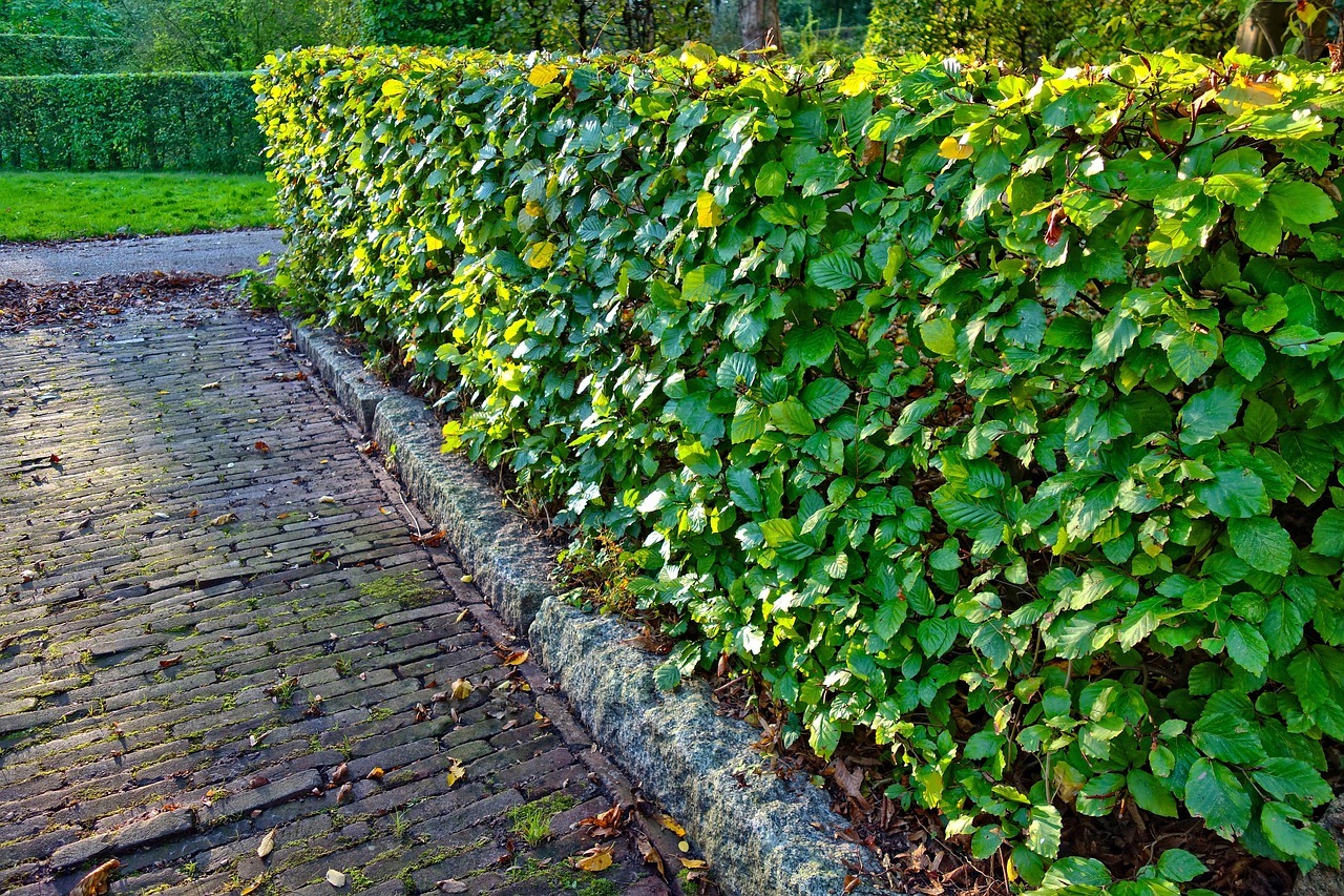 Hecke